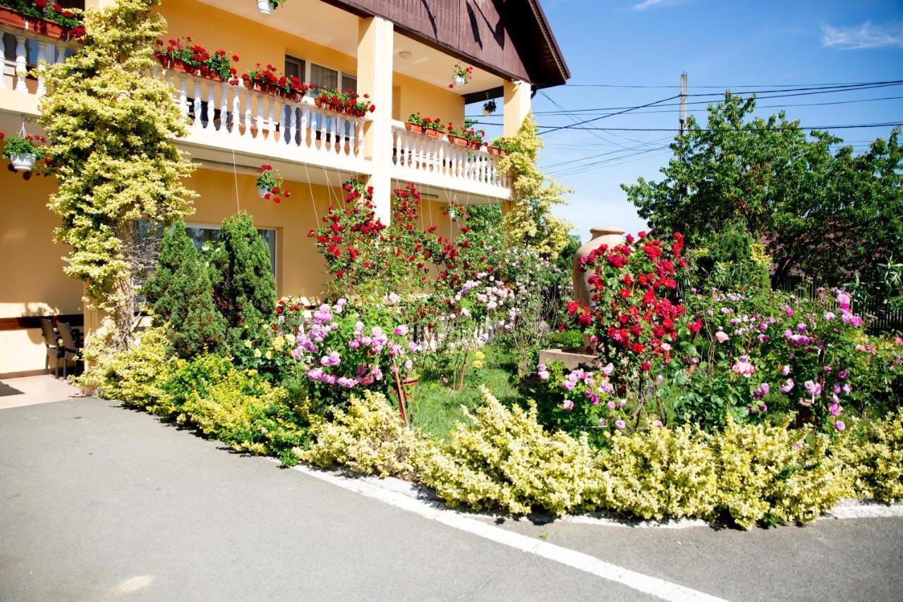 Motel Moara Veche Săcălăşeni Dış mekan fotoğraf